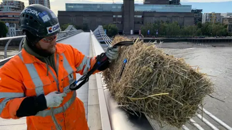 Straw Bales Millennium Bridge? A Quirky Misunderstanding