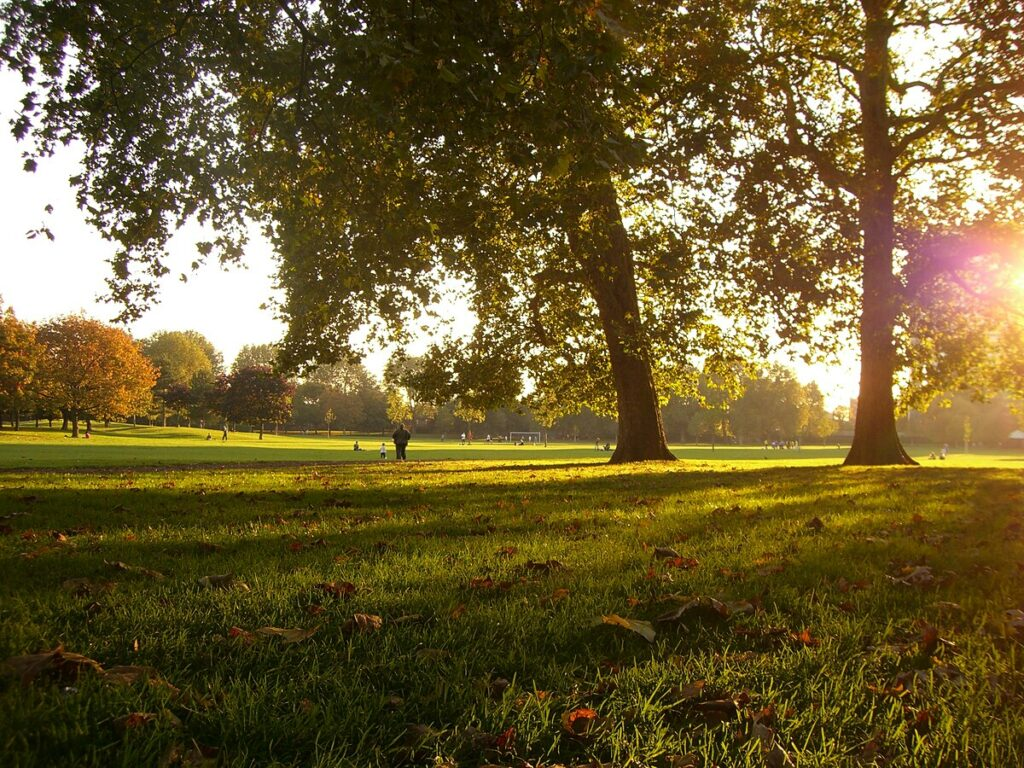 Southwark Park: A Haven in the City