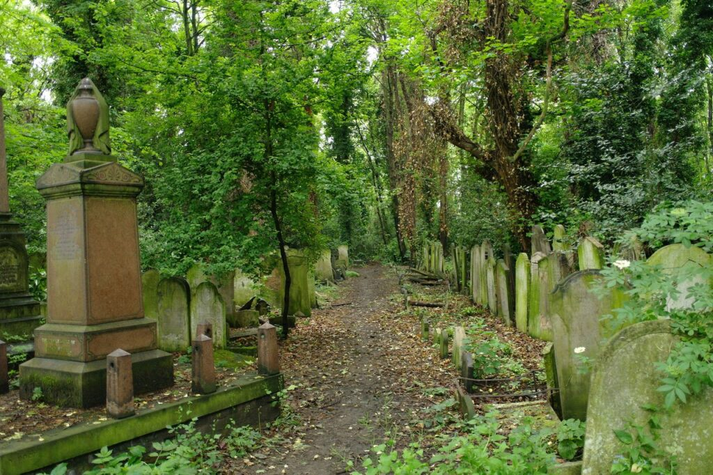 Tower Hamlets Cemetery Park: A Haven of Peace amidst the Bustle